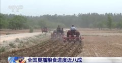 <b>全国夏粮收成过九成 夏播粮食进度近八成</b>